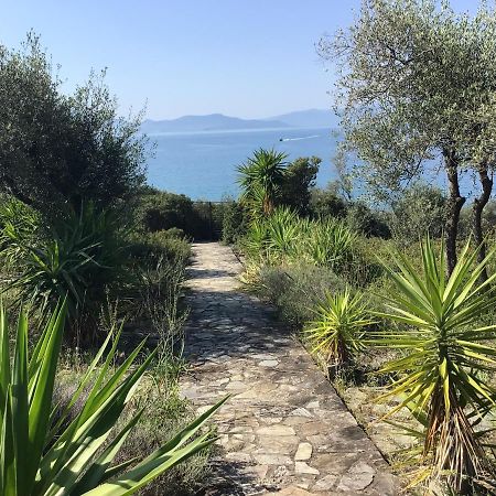 Georgia'S House Βίλα Marathos  Εξωτερικό φωτογραφία