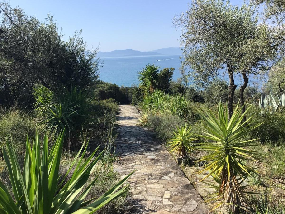 Georgia'S House Βίλα Marathos  Εξωτερικό φωτογραφία