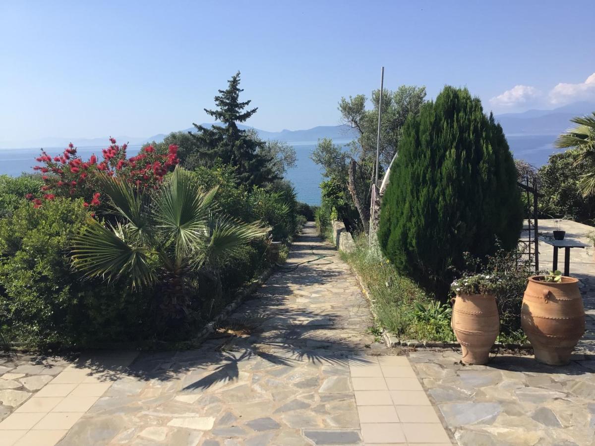 Georgia'S House Βίλα Marathos  Εξωτερικό φωτογραφία